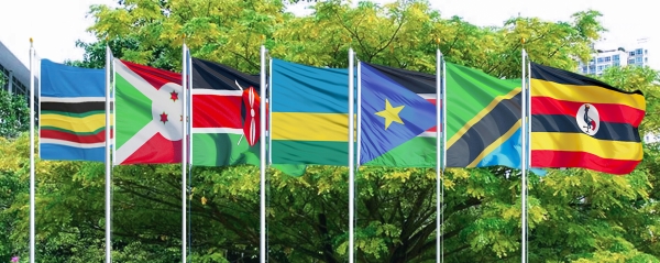 Representative flags of EALA member states