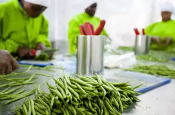 KAM advocates for strengthening of value chains image