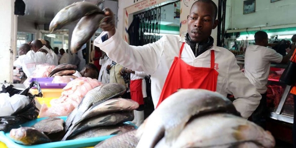  Fish Industry To Benefit From EU Market Following Deal