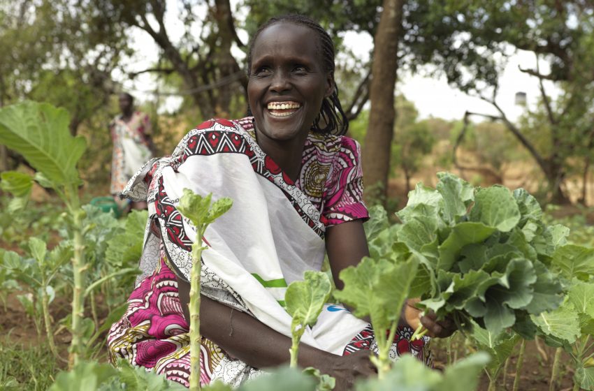Why We Must Celebrate Africans Transforming the Continent’s Food Systems