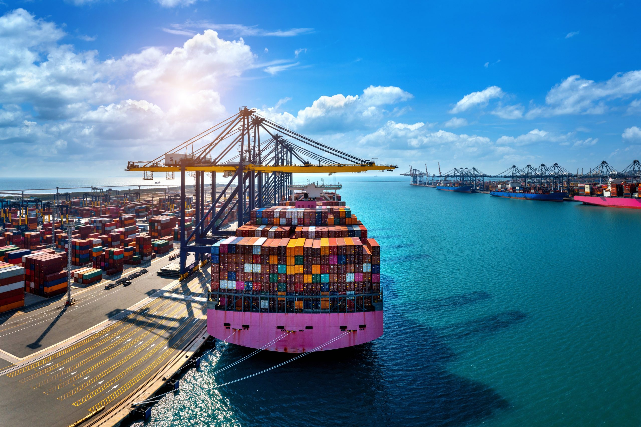 Exports from Kenya can be diversified